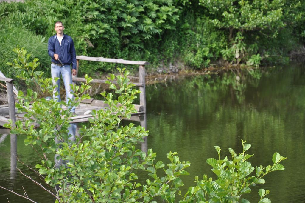 Pensiunea Valahia Brezoi Exteriör bild